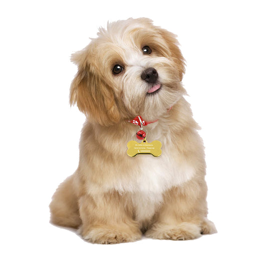 Collar Hueso Oro Rosa